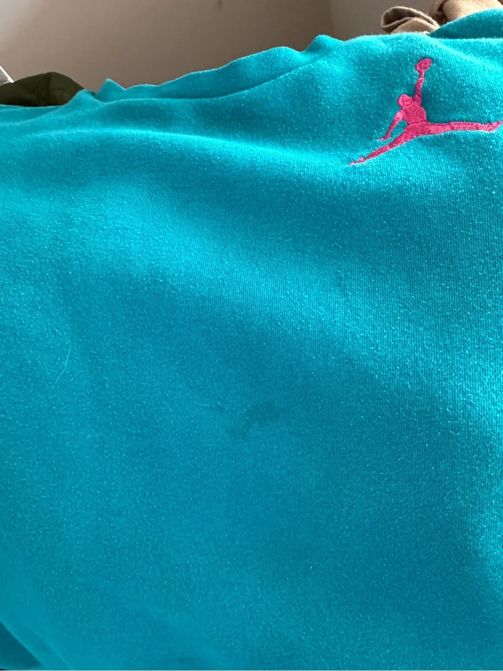 Jordan Teal & Black Crewneck Sweatshirt with Pink Accents